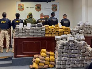 Quase meia tonelada de drogas que viria para Rolim de Moura é apreendida na BR-429