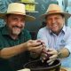 Em visita à Rondônia Rural Show, Hildon Chaves defende investimentos no “Ouro Verde”